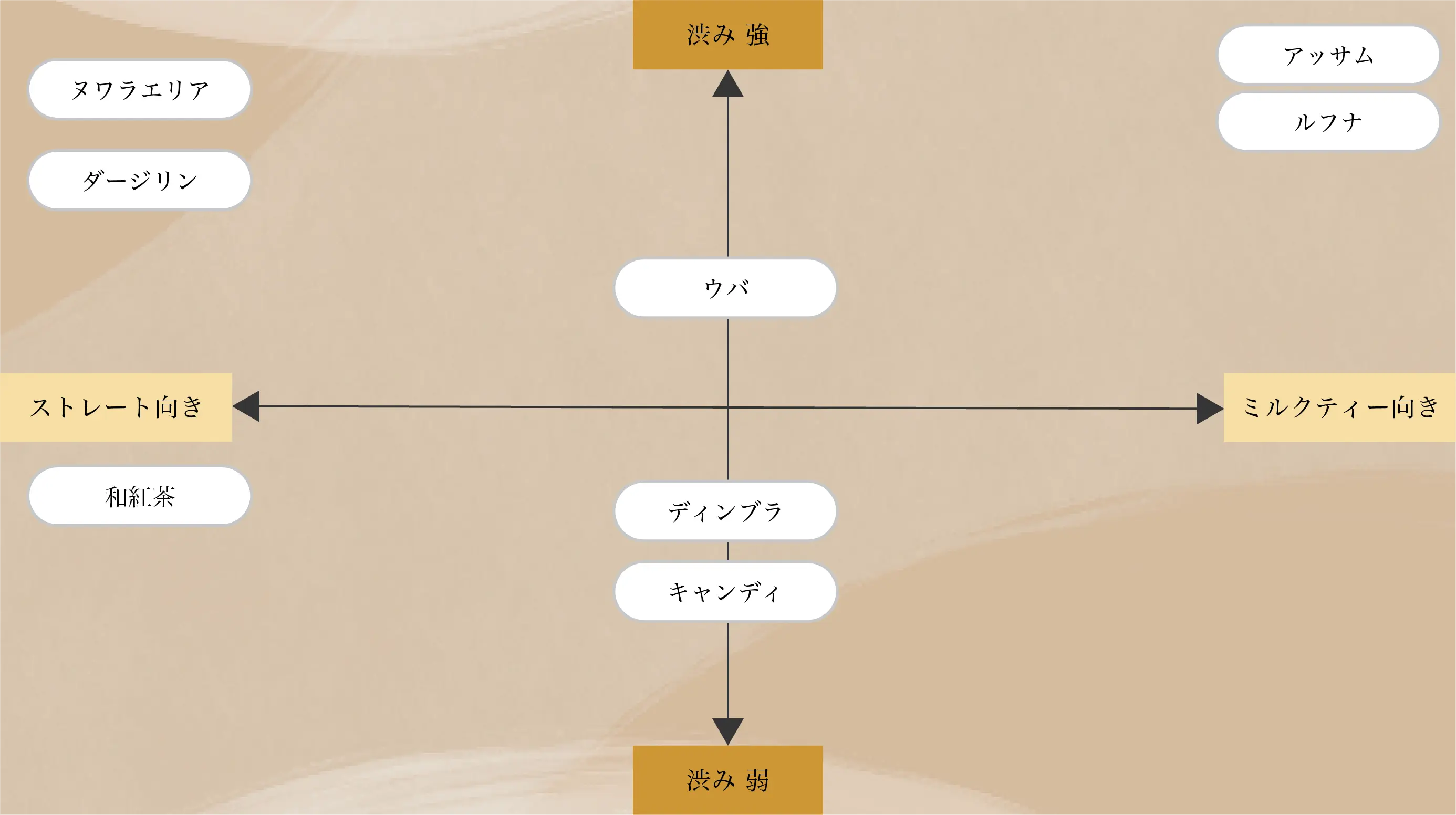 紅茶レーダーチャート