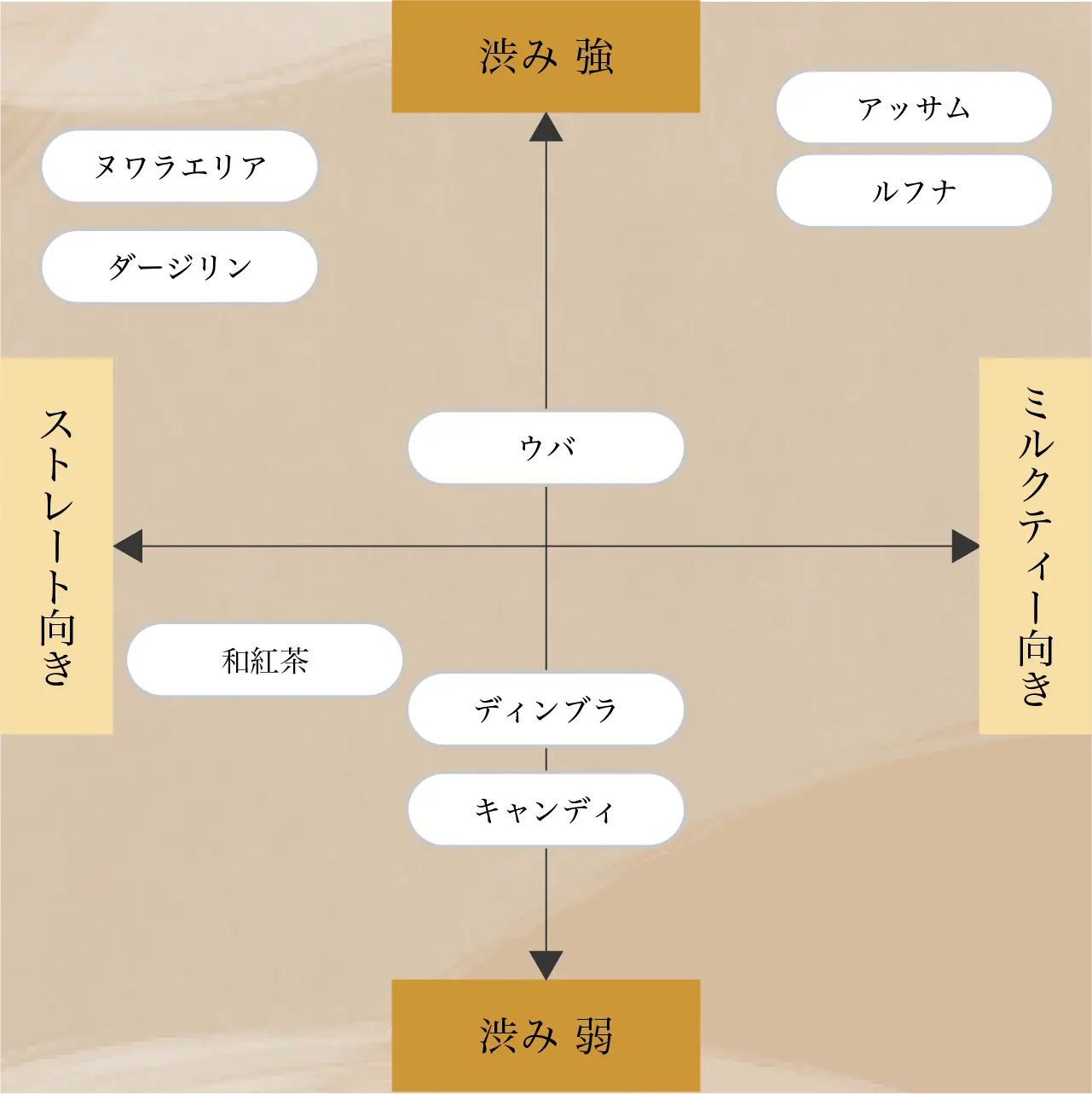 紅茶レーダーチャート